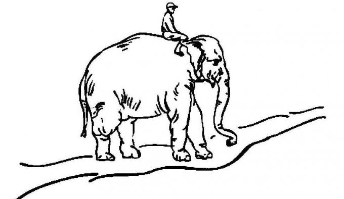 head harjumused: elevant, mootorratturi ja tee