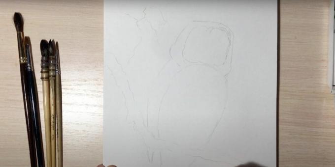 Öökulli joonistamine: kirjeldage öökulli haru ja keha