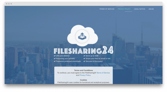 FileSharing24 ekraan