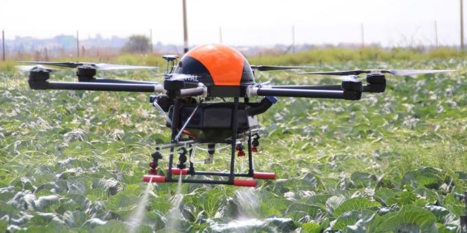 Drone aitab kasvatada taimi