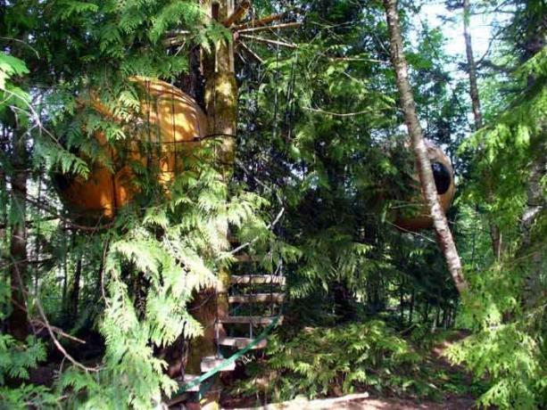 Treehouse, mis saab broneerida