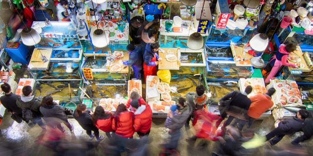 Vaatamisväärsused Lõuna-Korea: on vaja külastada kalaturu