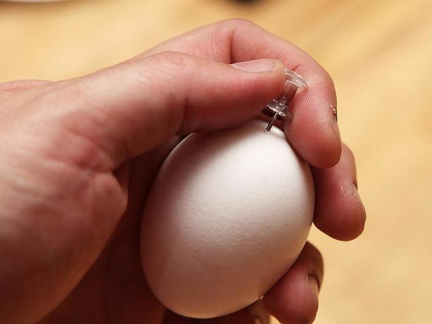 Kuidas purustada muna