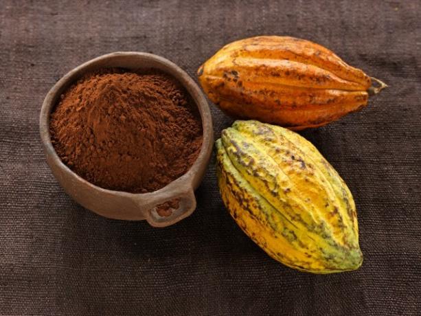 Kuum šokolaad: kakaopulber ja kakaoubade 