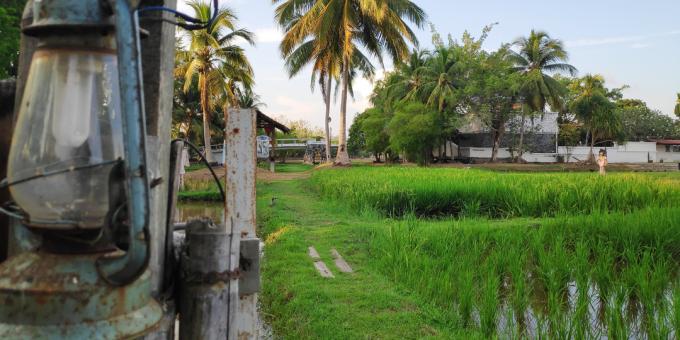 Langkawi vaatamisväärsused: Laman Padi riisikultuurimuuseum
