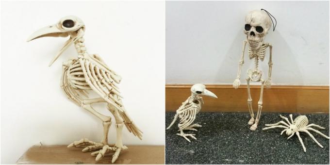 skelett vares